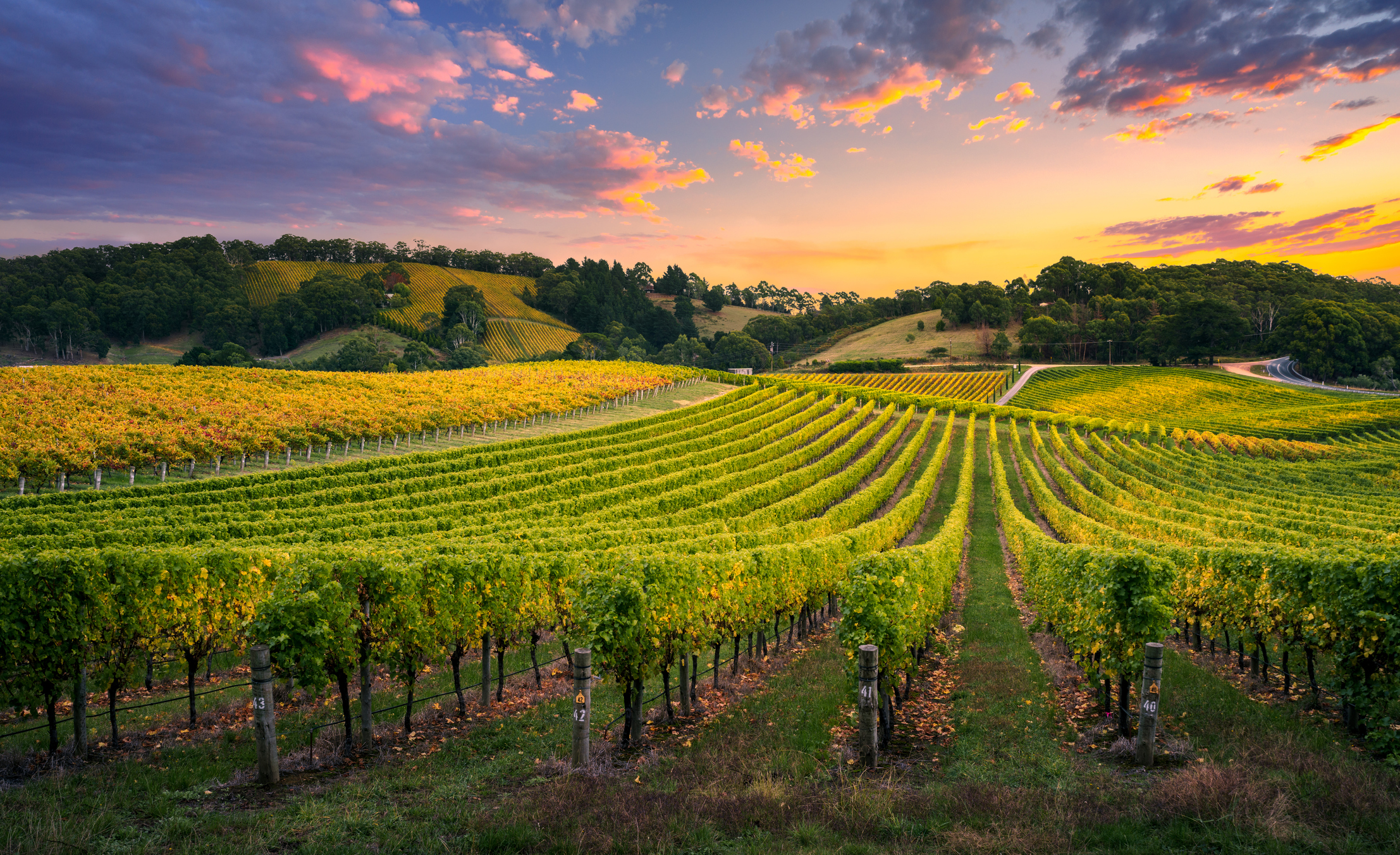 SA Wine Country